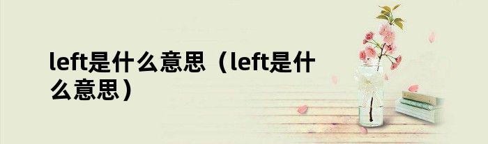 left是什么意思（left是什么意思）
