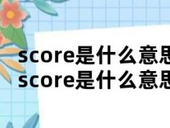 score是什么意思（骨密度z-score是什么意思）